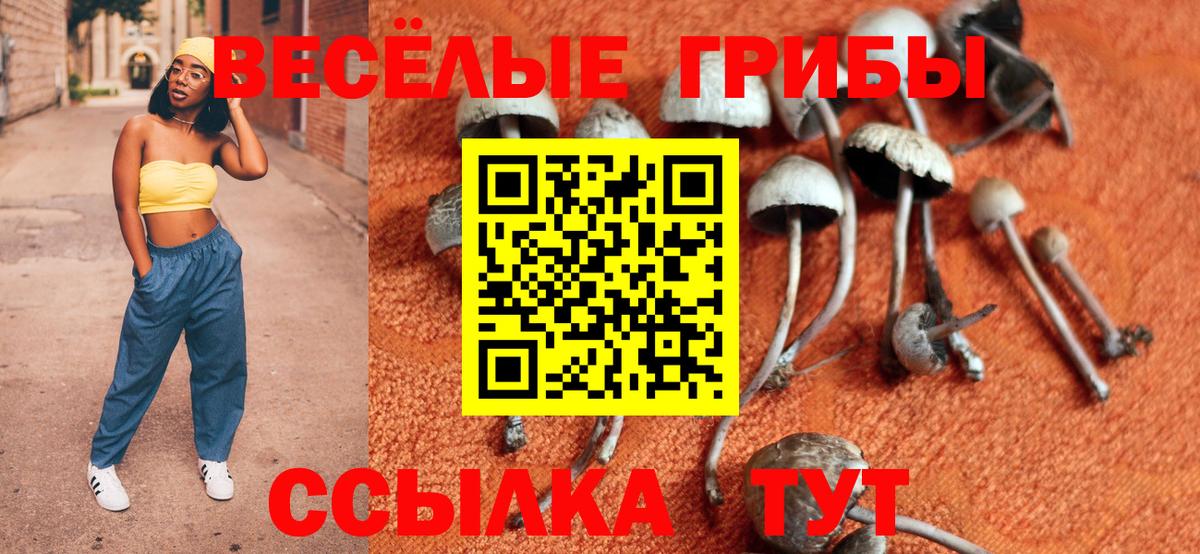 Галлюциногенные грибы Cubensis  хочу   Видное  Вход с VPN 